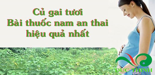cu gai tuoi