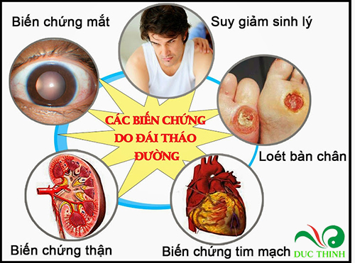 tac dung cua cay thia canh