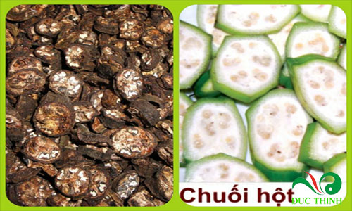 chuoi hot rung 2