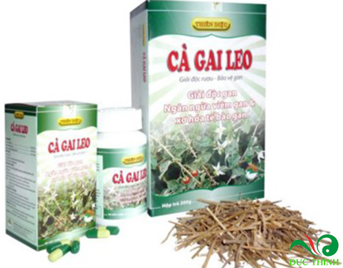 giai doc ruou bang ca gai leo