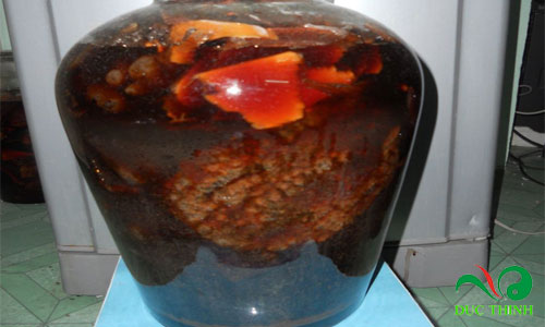 cach ngam ruou qua nhau 2