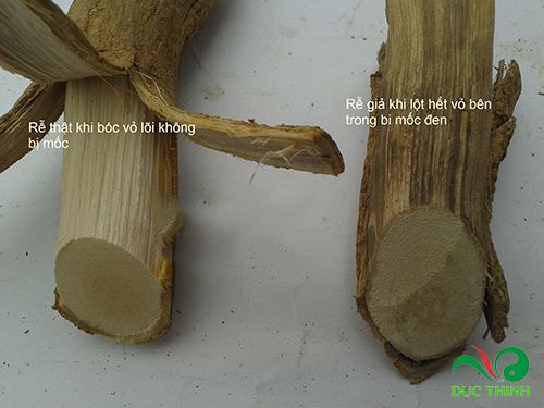 phan biet xao tam phan