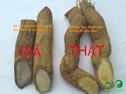 phan biet xao tam phan