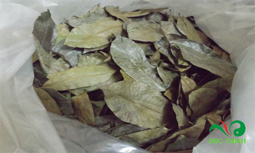 gia la mang cau xiem 1