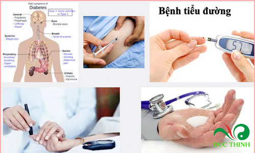 cach trong day thia canh 1