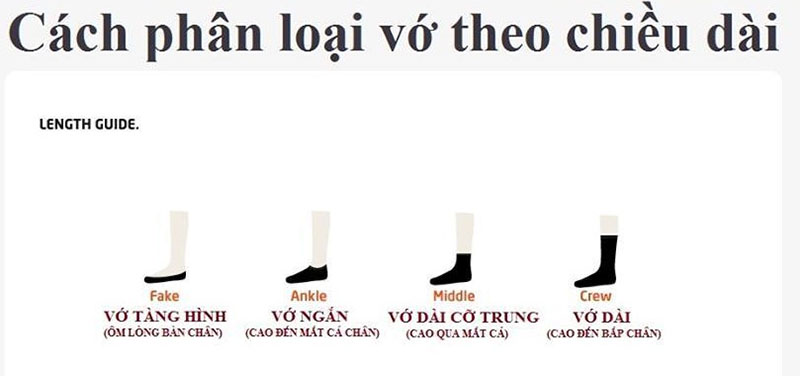 vớ nam cao cấp