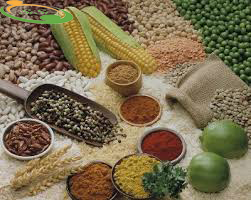 Ngũ cốc lợi sữa giảm cân Ngũ cốc lợi sữa giảm cân