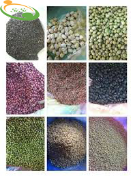 Ngũ cốc lợi sữa Ngũ cốc lợi sữa