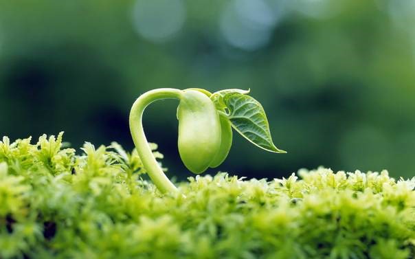 Tác dụng phụ của viên uống Bảo Xuân