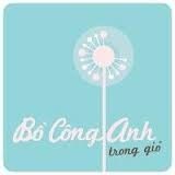 Bồ Công Anh Studio