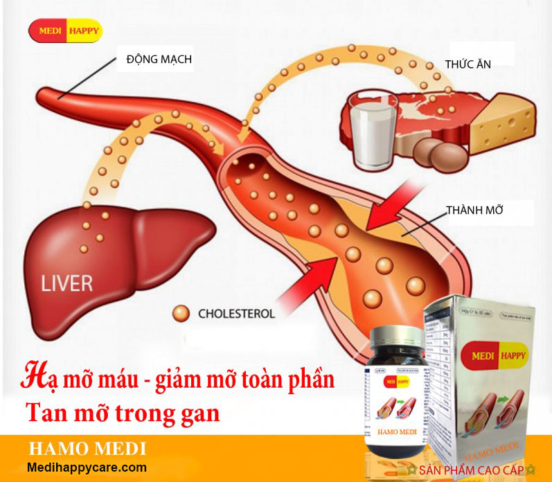 hạ mỡ máu