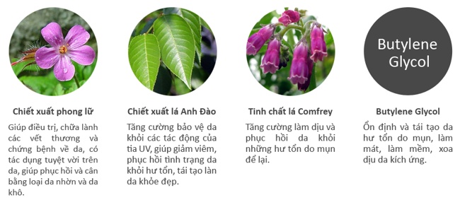 thanh phan kem tri mun sakura acne clearing cream