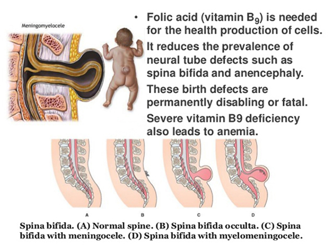 su-quan-trong-cua-vitamin-B-voi-phu-mang-thai-va-thai-nhi