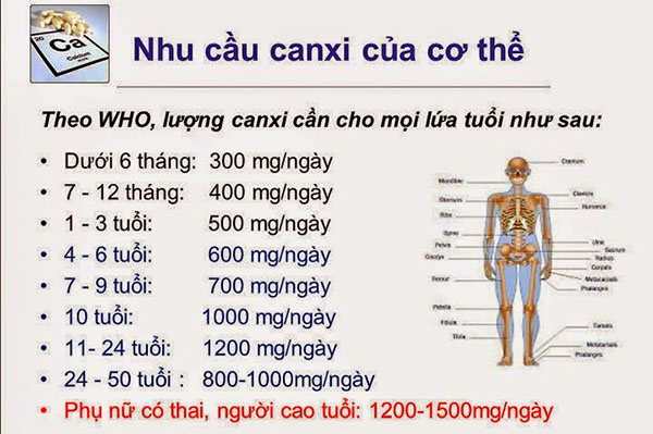 nhu-cau-canxi-cua-co-the