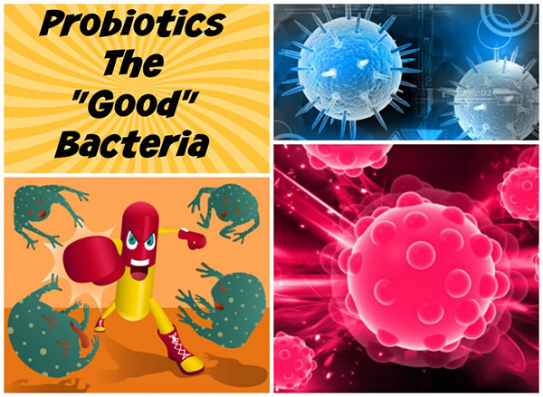 Probiotics-men-vi-sinh-tot-cho-co-the