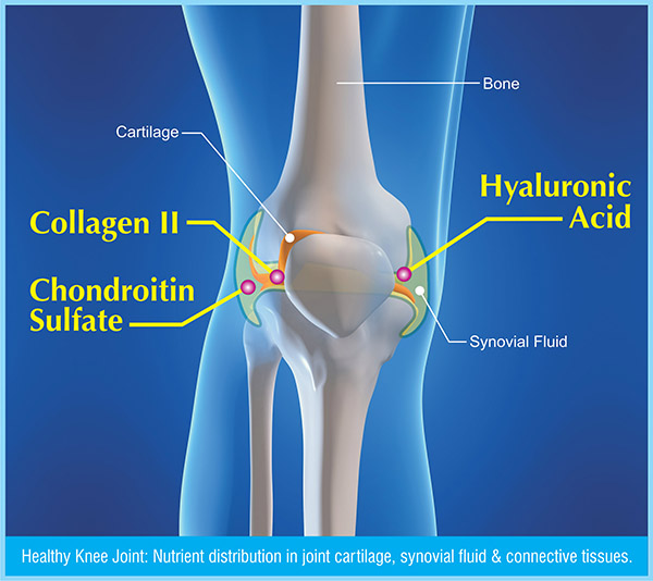 glucosamine-ho-tro-xuong-khop