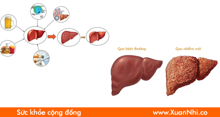 giai-doc-gan-hieu-qua