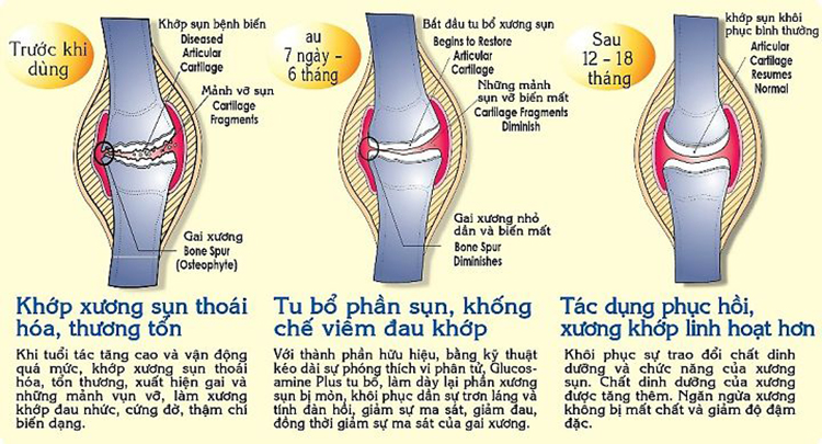 su-dung-dau-ca-omega-3-trong-dieu-tri-benh