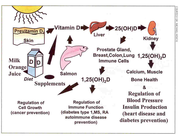 vitamin-D-cho-phu-nu-tien-mang-kinh