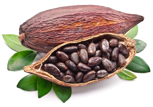 tinh chat bo cacao