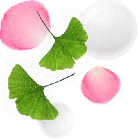 tinh chat duong da shiseido ultimune power infusing concentrate des