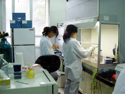 Chọn lọc giống và lưu trữ tại phòng thí nghiệm