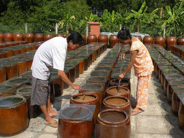 Lò tương dưỡng sinh của vợ chồng anh Lê Kim Sơn, chủ cơ sở Thuần Chay, ở ấp 7, xã Tân Tây, huyện Gò Công Đông, tỉnh Tiền Giang, có công suất trung bình 100 lít/tháng. Với sân phơi rộng khoảng 400 mét vuông, gồm: 500 khạp, 70 lu (“kiệu”).