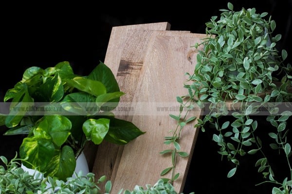 Hoa gỗ lục giác ốp tường thanh lọc không khí - 2
