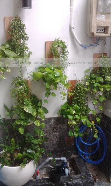 Hoa gỗ lục giác ốp tường thanh lọc không khí - 5