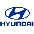 Khách hàng Hyundai Trần Hưng Đạo