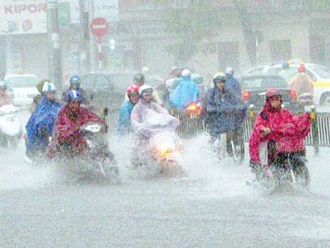 Mắt kính mát hàng hiệu Abama
