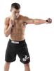 Dây tập đánh gió thể lực Shadow Boxer Title PRO