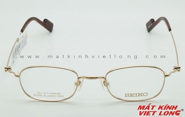  GỌNG KÍNH SEIKO T1095-500 46-21 