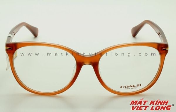  GỌNG KÍNH COACH HC6056F-5251 54-17 
