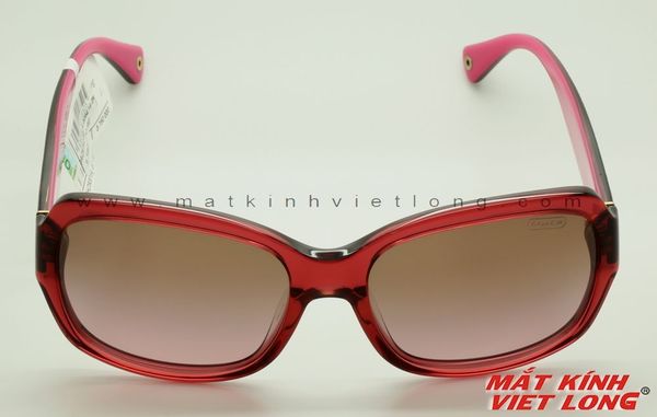  KÍNH MÁT COACH HC8001A-5054/14-2N 