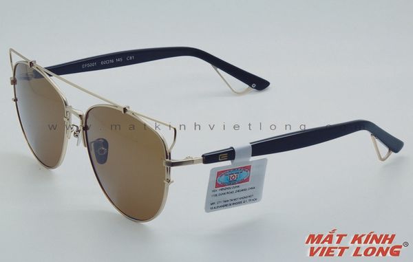  KÍNH MÁT EXFASH C5001-C81 60-16 