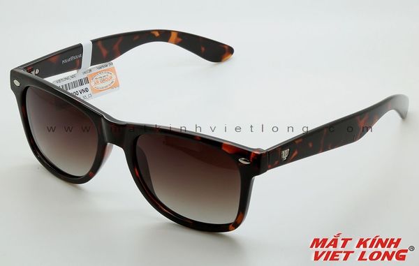  KÍNH MÁT POLARIZED PS3001G-C5 55-19 