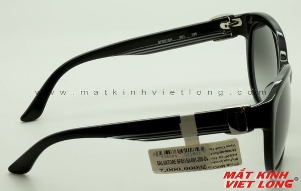  KÍNH MÁT SALVATOR SF651SA-001 59-17 