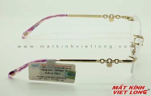  GỌNG KÍNH TIFFANY FTF1073-6021 54-15 