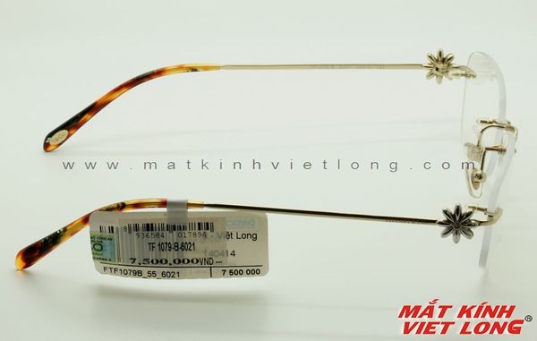  GỌNG KÍNH TIFFANY&CO TF1079-6021 B 