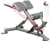 Ghế tập lưng bụng Impulse IT7007, ghe tap lung bung Impulse IT7007, Impulse IT7007, IT7007