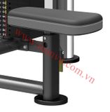Máy tập cơ lưng, cơ vai Impulse IT9319, may tap co lung co vai Impulse IT9319, Impulse IT9319,  IT9319