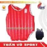 Áo giáp cổ truyền, ao giap co truyen, áo giáp, ao giap, áo giáp Taekwondo, ao giap Taekwondo