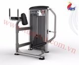 Máy tập cơ mông bắp đùi Impulse IE9526, Impulse IE9526, May tap co mong bap dui Impulse IE9526