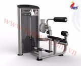 Máy tập sống lưng Impulse IE9532, Impulse IE9532, May tap song lung Impulse IE9532