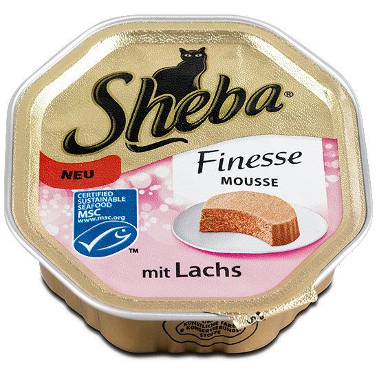 Sheba 2025 finesse mousse