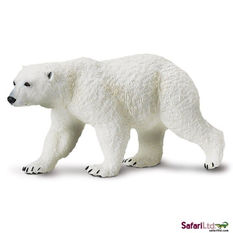  Gấu Bắc Cực 