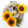 SUNFLOWER - CAPTURE THE HAPPINESS