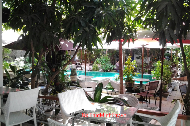 bàn ghế nhựa giả mây minh thy