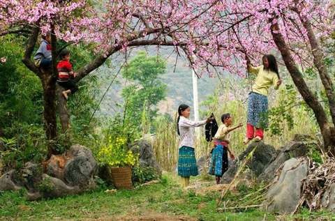 du lịch đầu xuân 9